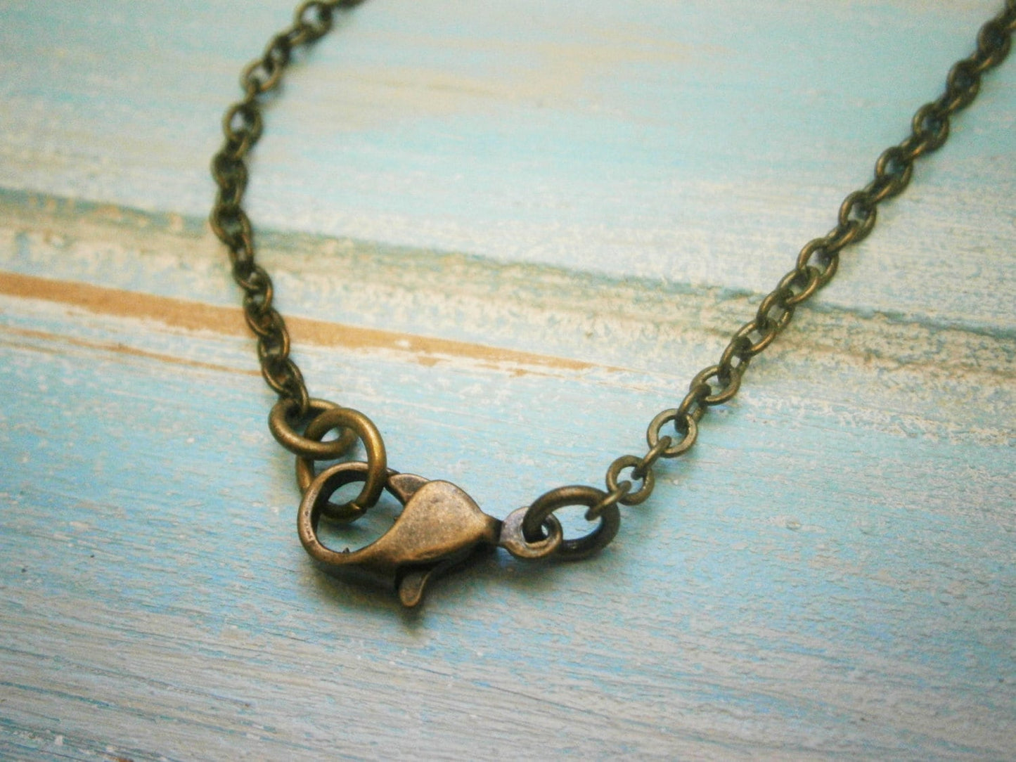 Vintage Style Picture Locket Necklace/Antique Bronze Locket with detailed Photo of a Bird in a Vintage Style Cage/Long Necklace.